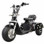 2000w Lithium Battery 3 Wheel Citycoco Adult