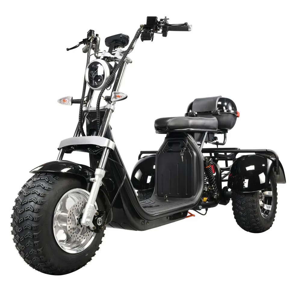 2000w Lithium Battery 3 Wheel Citycoco Adult